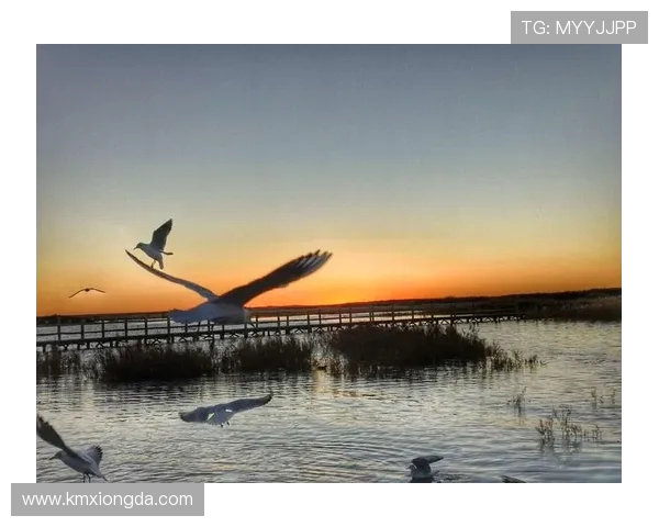 滑板人生的深度对话:杨磊与梦想的追逐与坚持